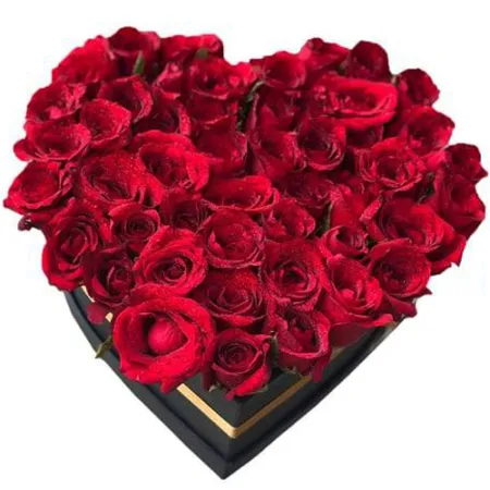 48 Red Roses in a Heart Shaped Box