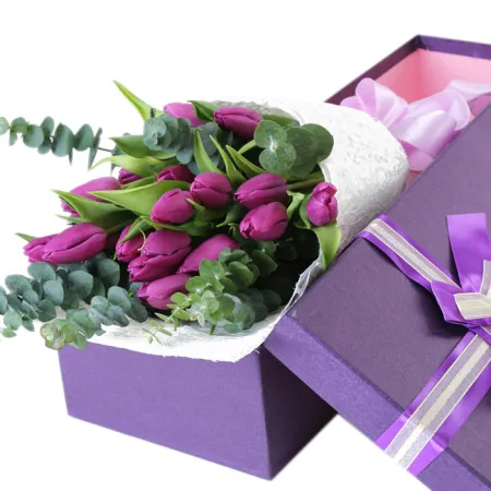 12 purple holland tulip in box to philippines