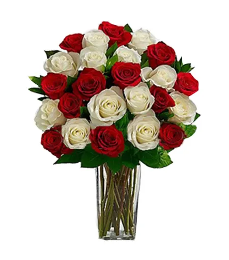 send 24 red and white roses in vase to philippines