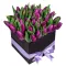 buy 20 purple tulips box to philippines